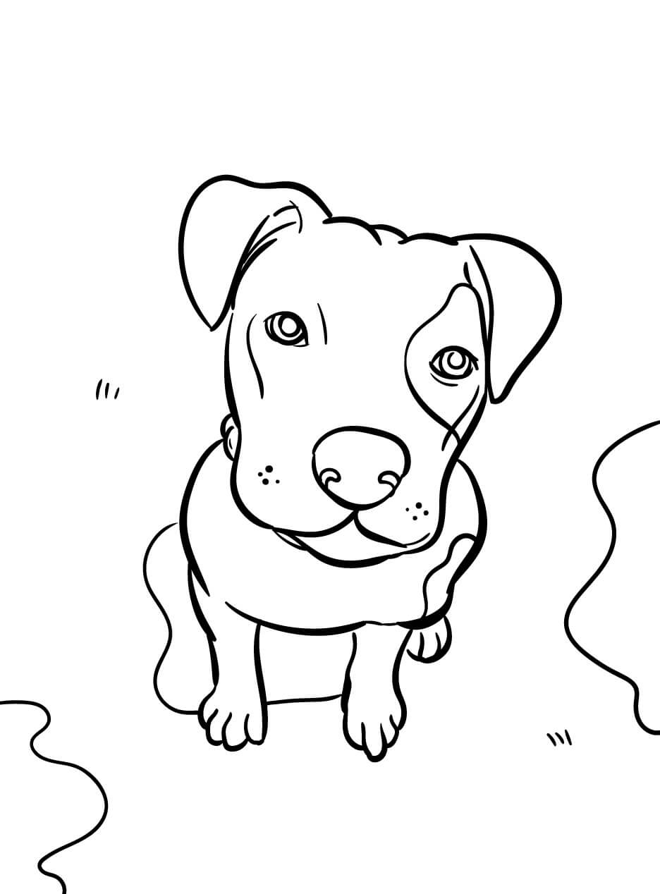dibujo perro grande colorear