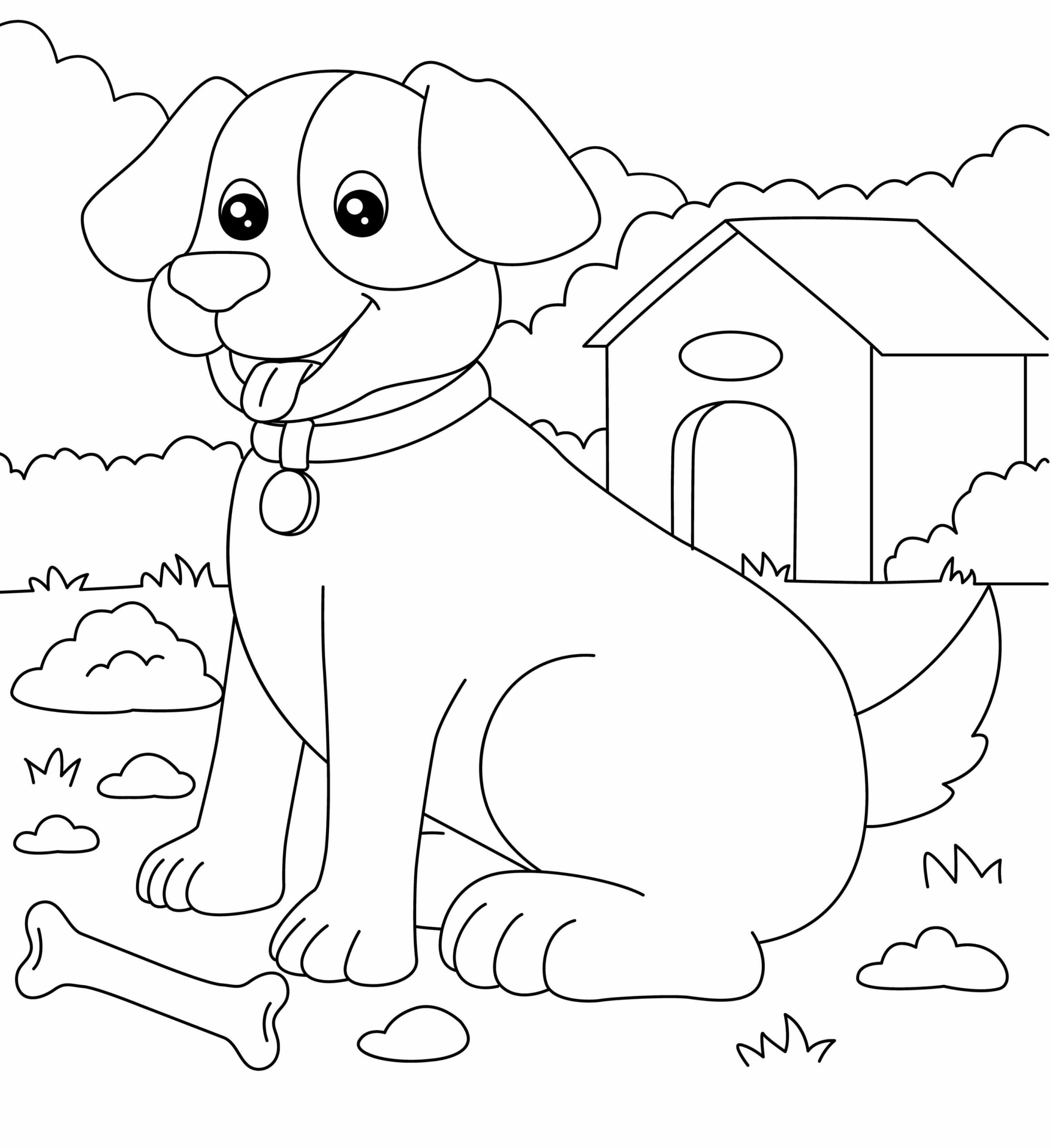 dibujo perro huesudo y perro domestico colorear