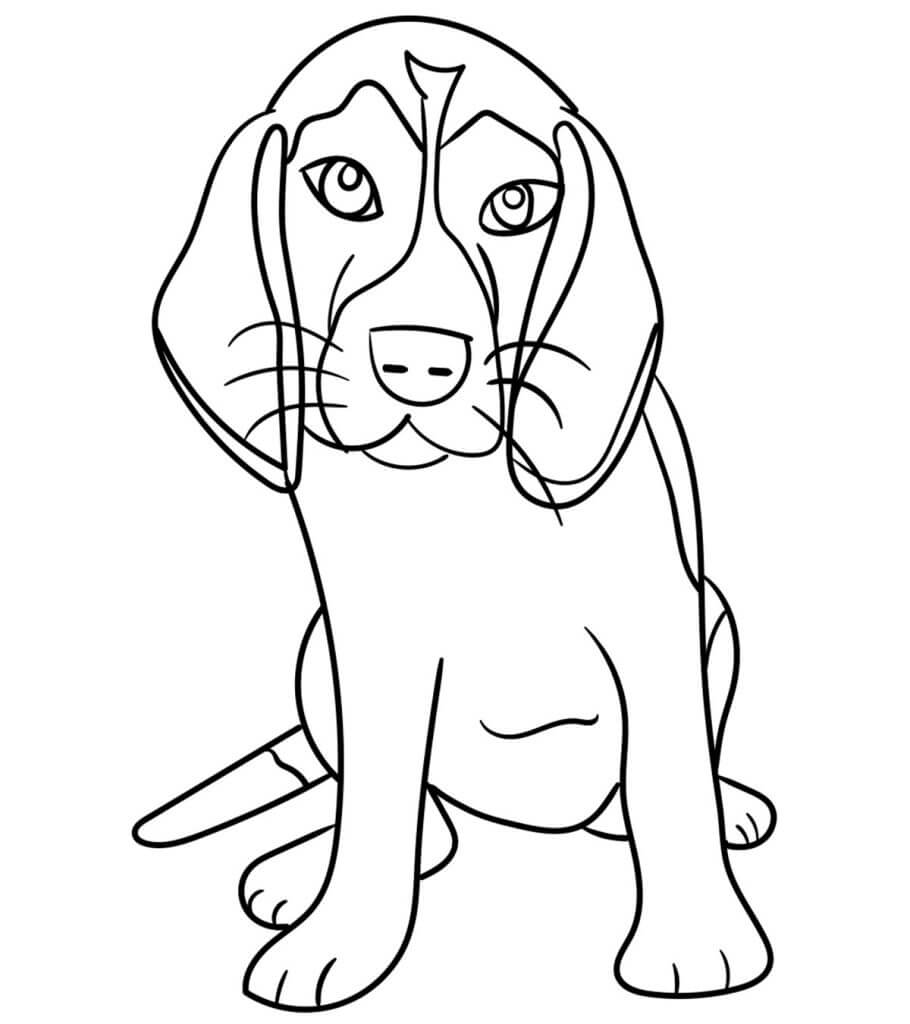 dibujo perro impresionante colorear