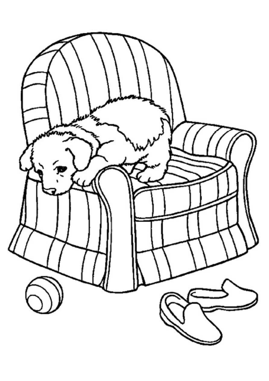 dibujo perro jugando en la silla colorear