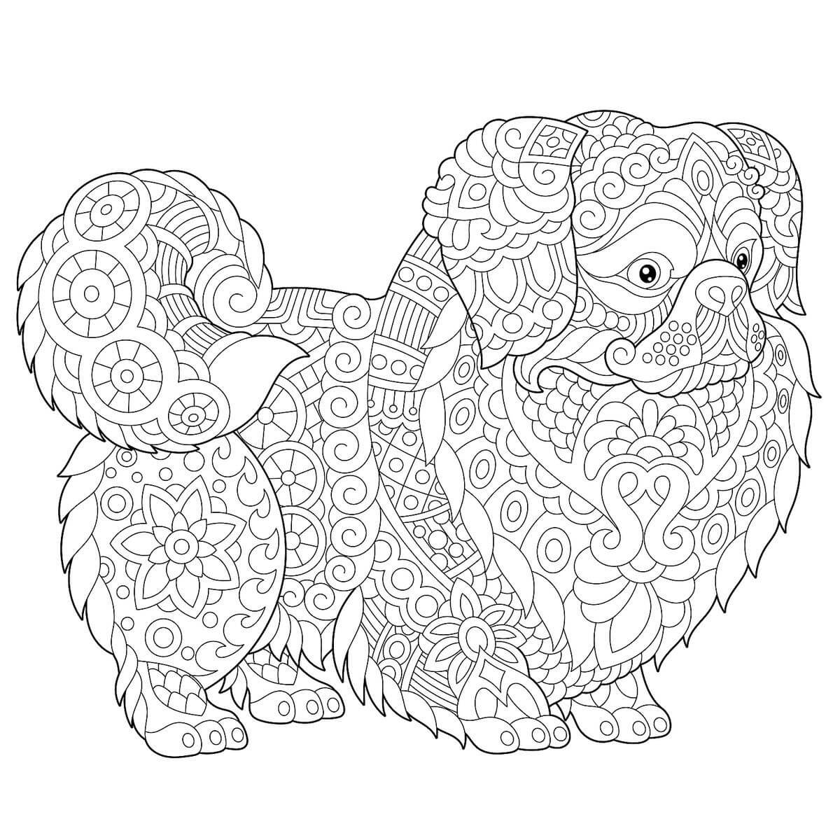 dibujo perro mandala colorear