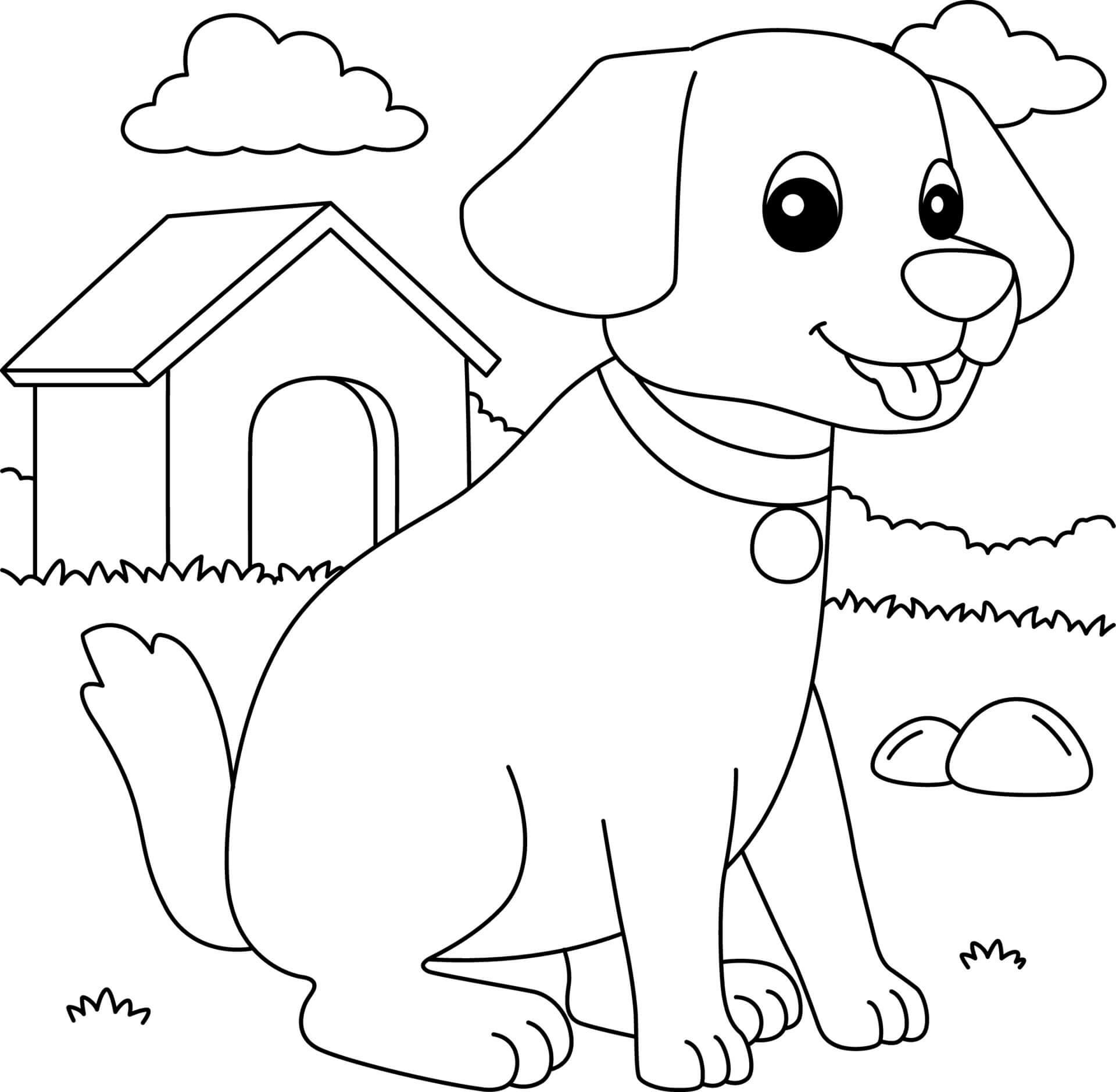 dibujo perro mascota colorear