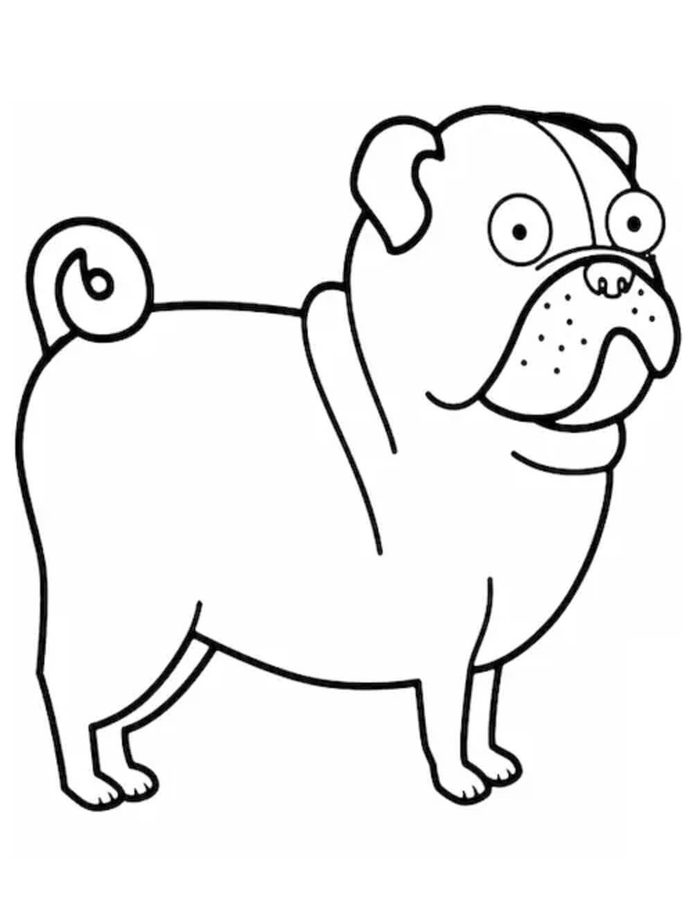 dibujo perro pug sentado colorear