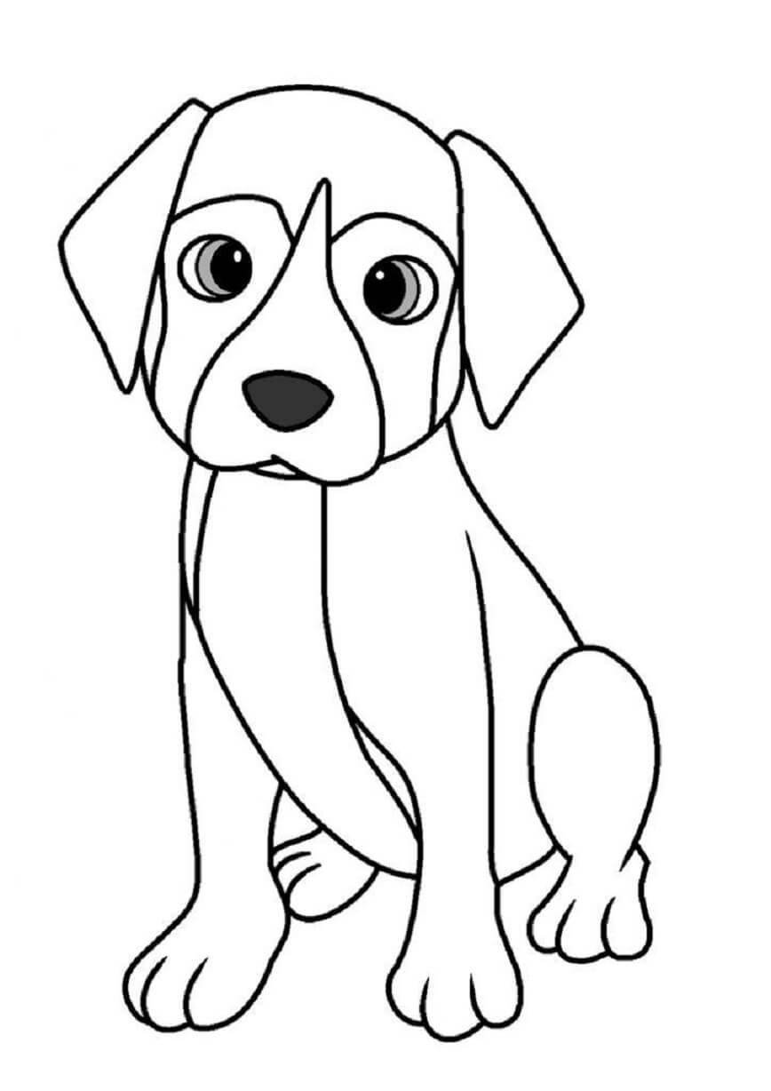 dibujo perro sencillo colorear