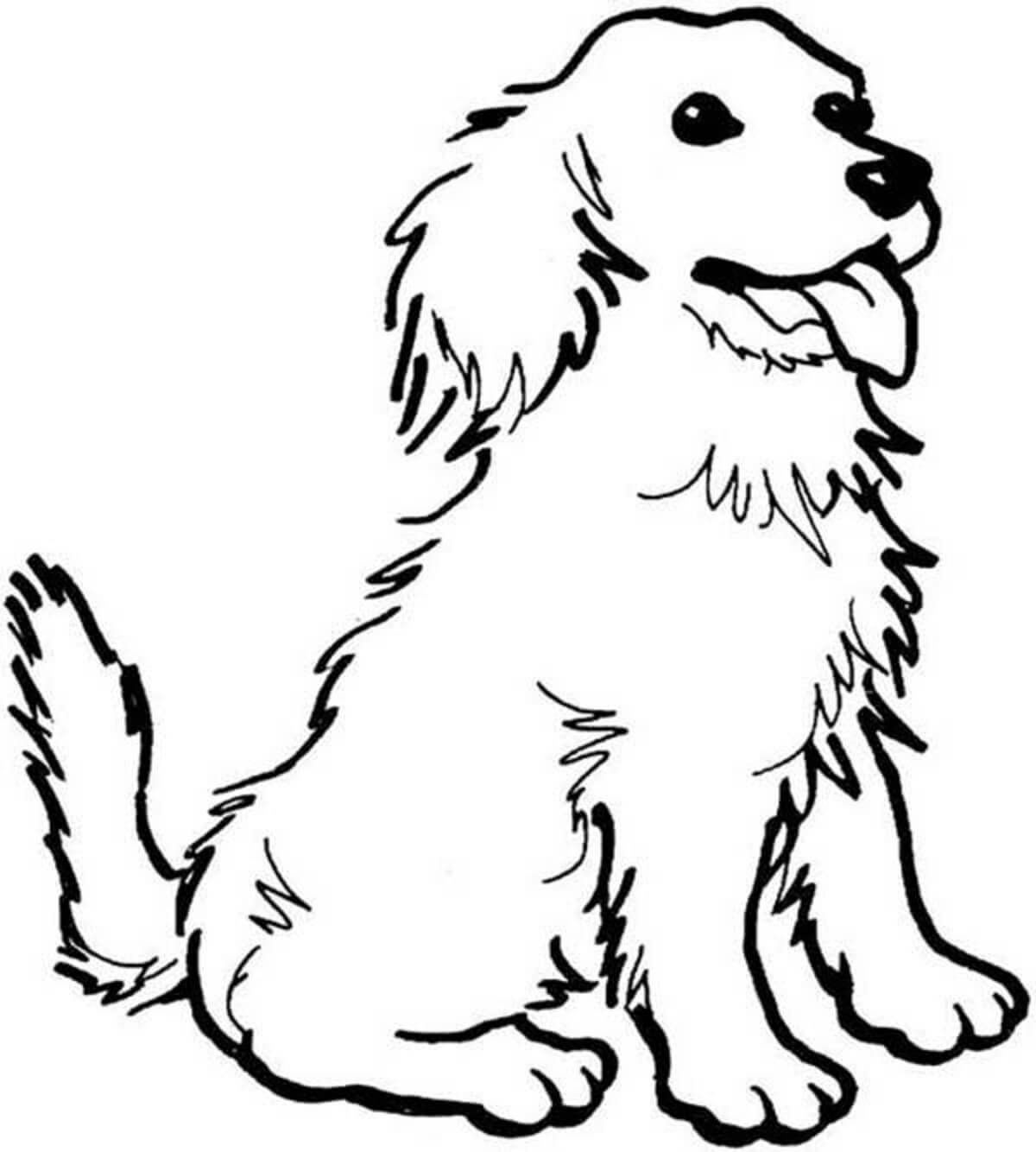 dibujo perro sentado mandala colorear