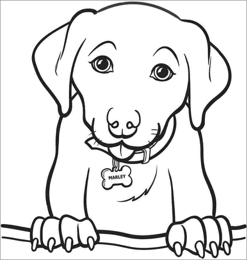 dibujo retrato de perro colorear