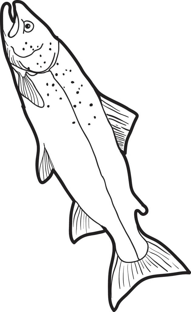 Pez para Colorear