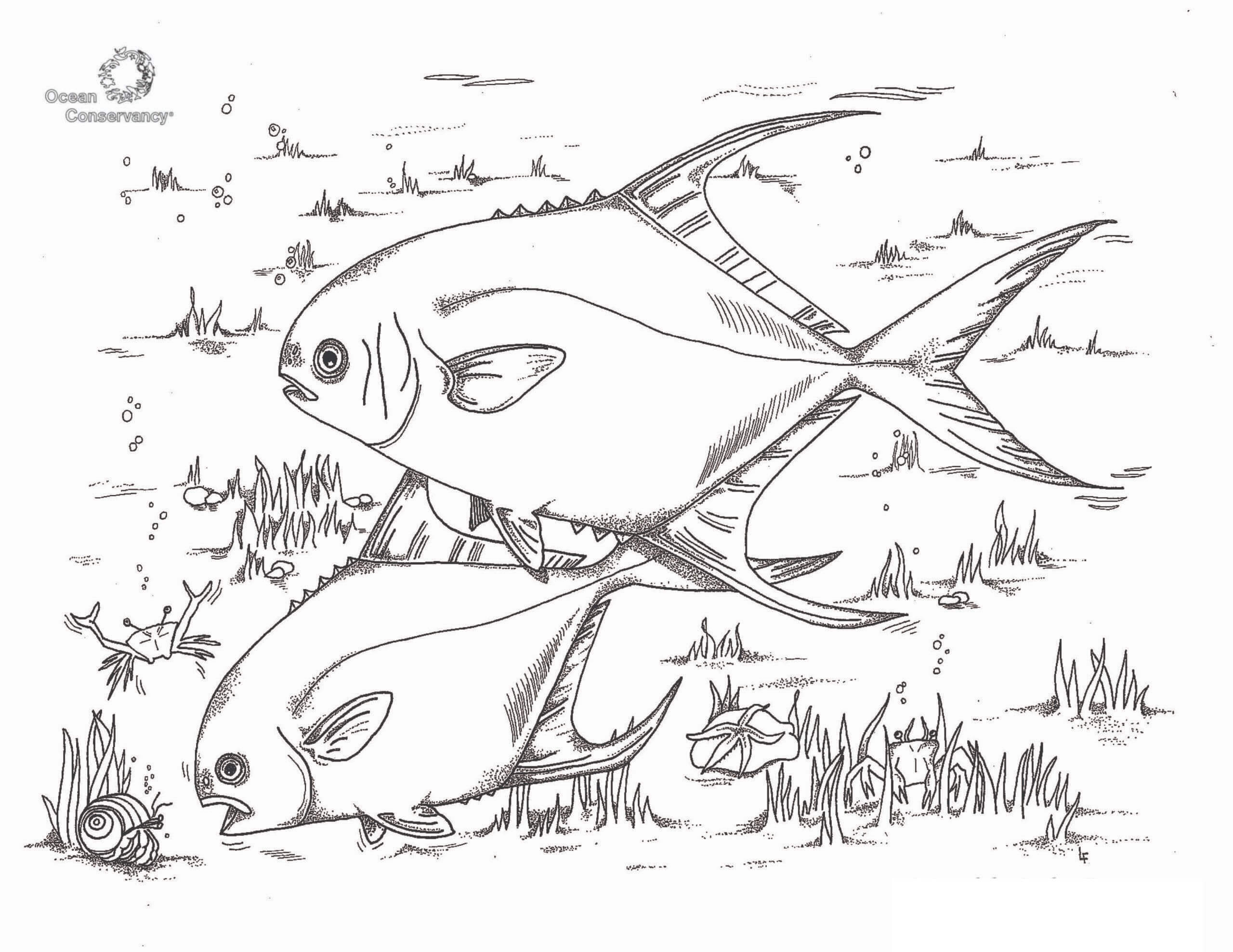 dibujo dos peces simples colorear