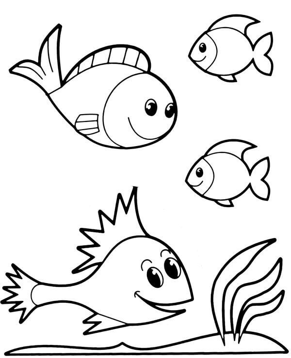 dibujo lindos cuatro peces colorear