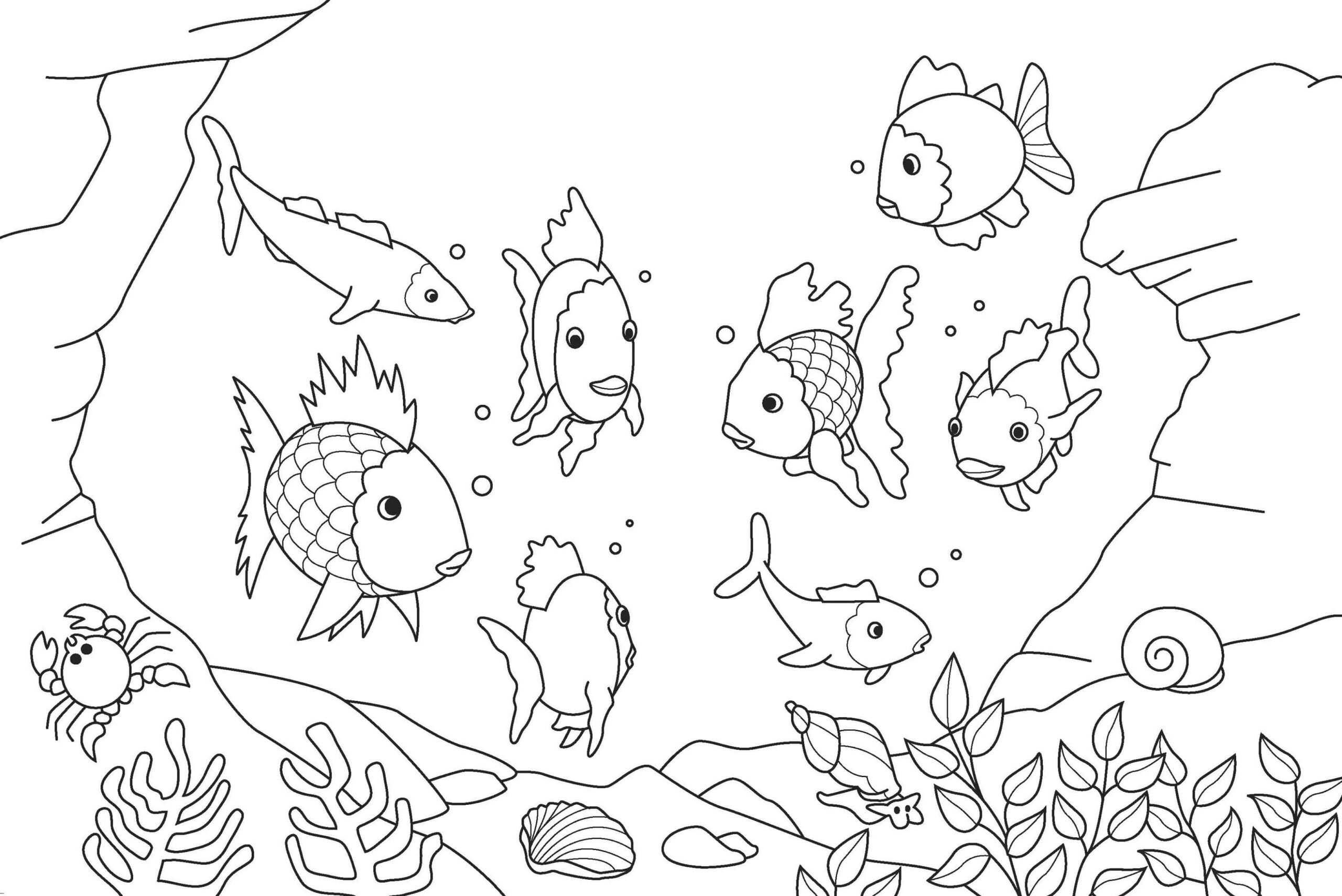 dibujo los peces scaled colorear