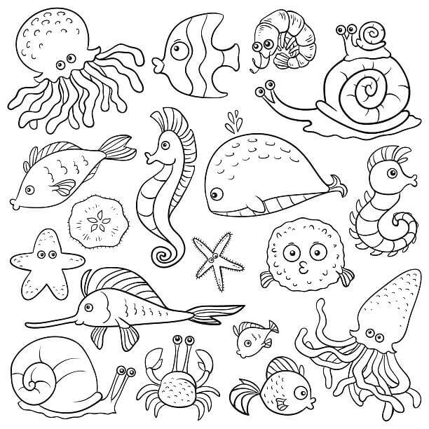 dibujo los pez y los animales marinos colorear