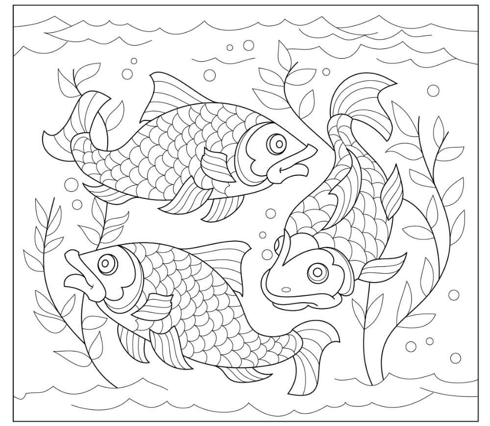 dibujo mandala de los tres peces colorear