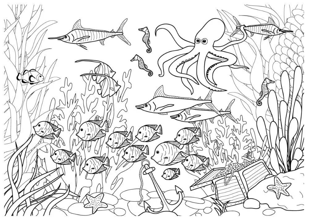 dibujo peces basicos y los animales colorear