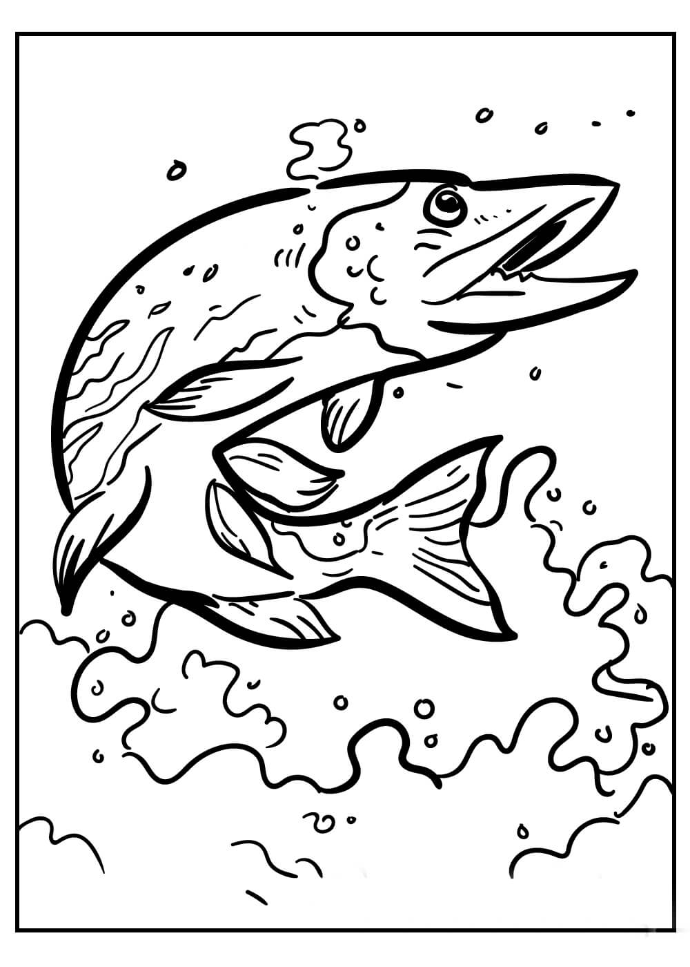 dibujo pescado fresco colorear