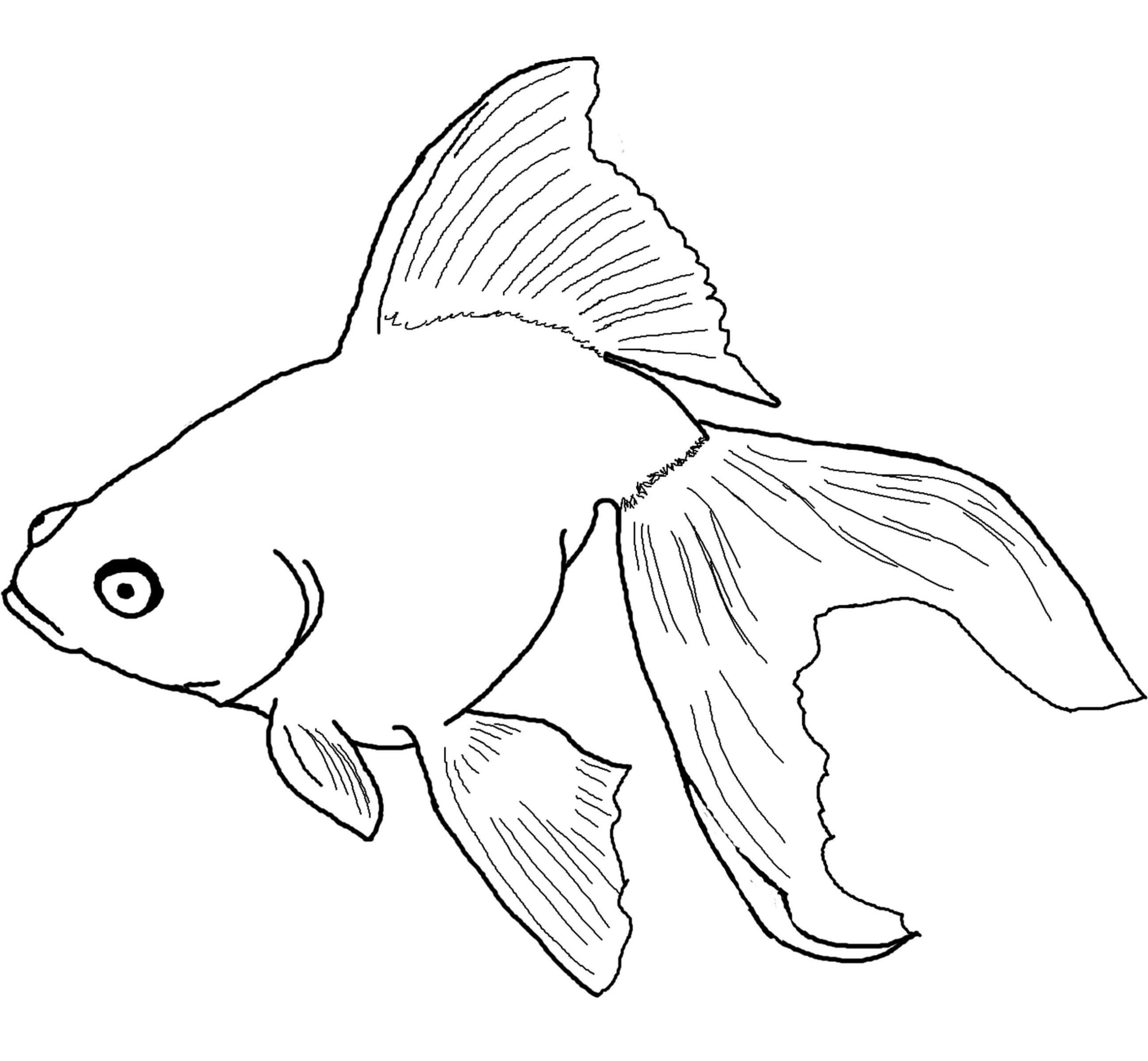 dibujo pez asombroso scaled colorear
