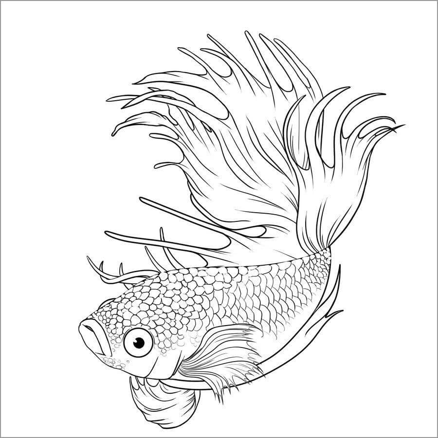 dibujo pez gratis colorear