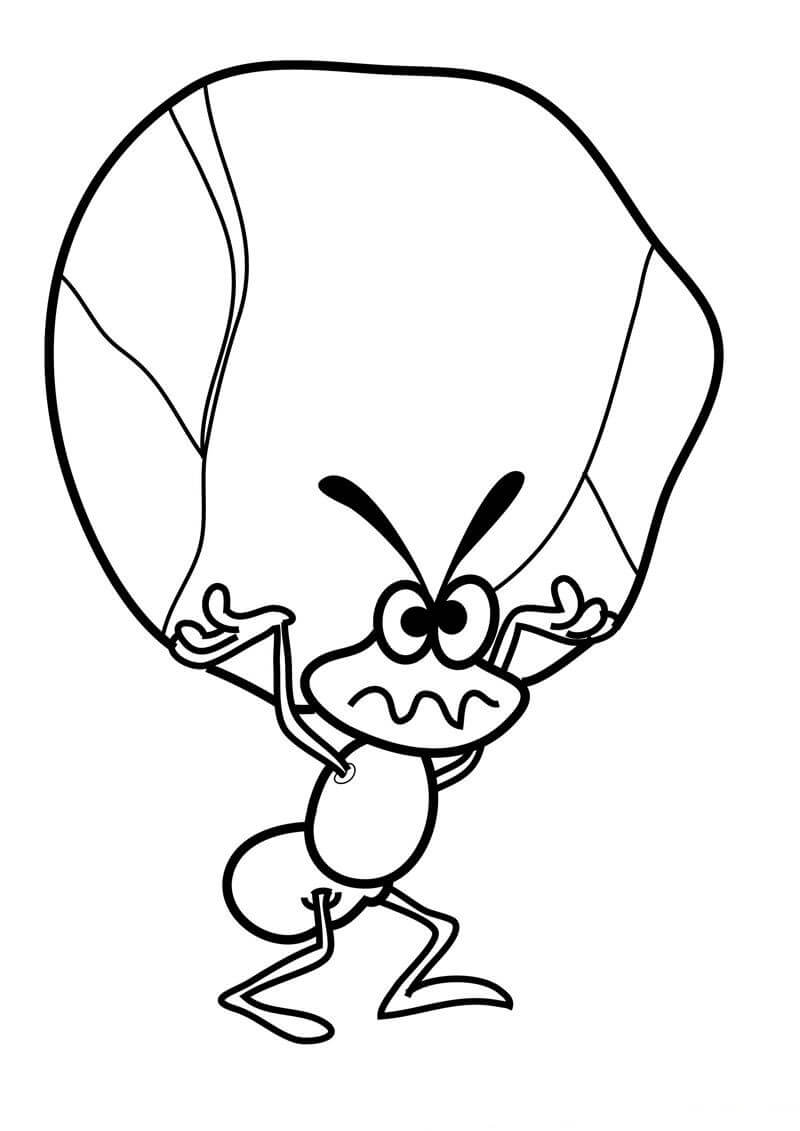 dibujo hormiga y piedra para colorear