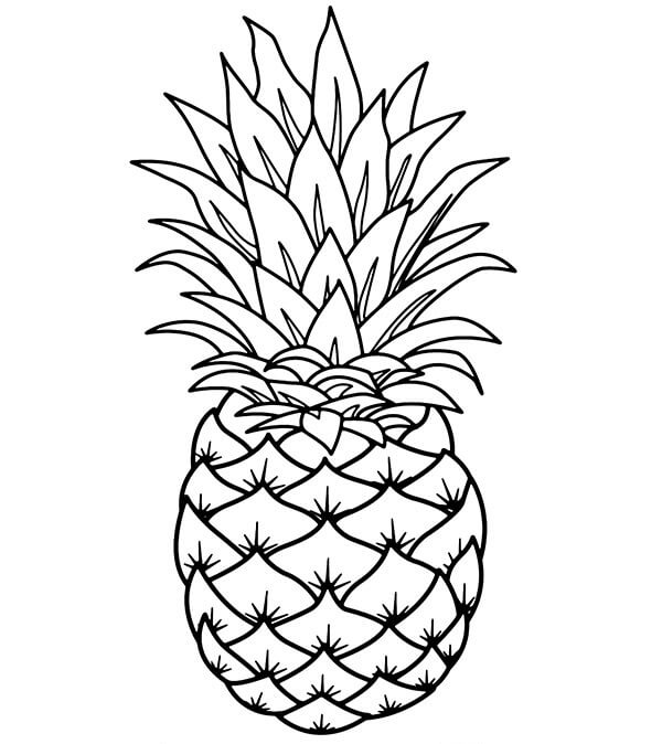 dibujo estupendo pina para colorear