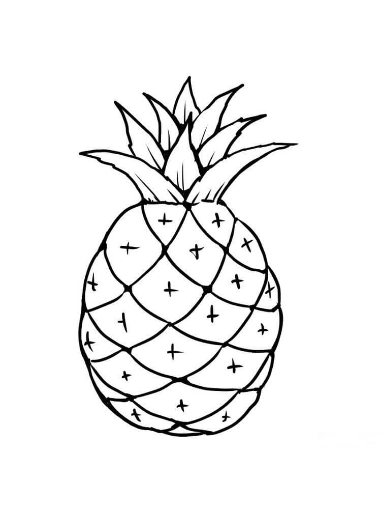 dibujo pina basica para colorear