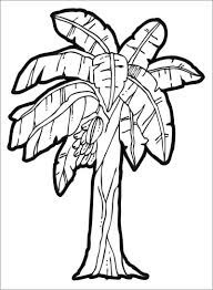dibujo arbol de platano para colorear