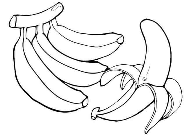 dibujo cacho de bananas e uma banana descascada para colorear