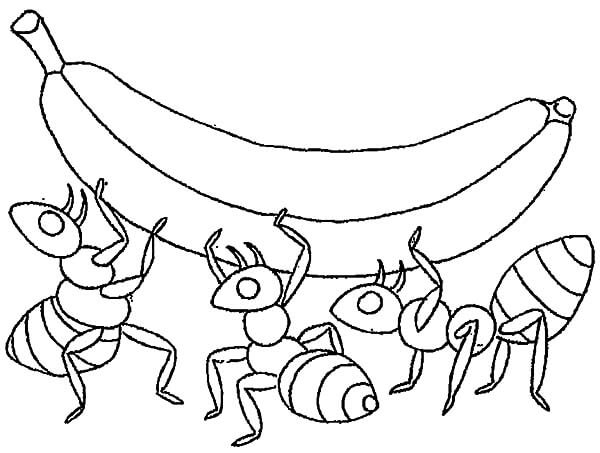 dibujo platano en hormiga para colorear