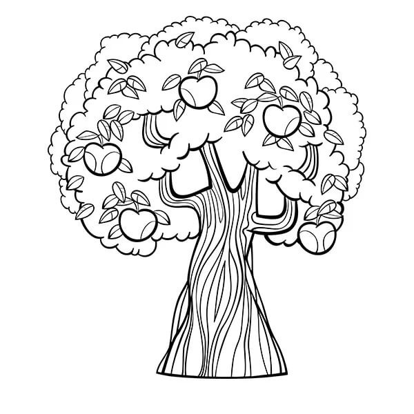 dibujos arbol hermoso en primavera para colorear