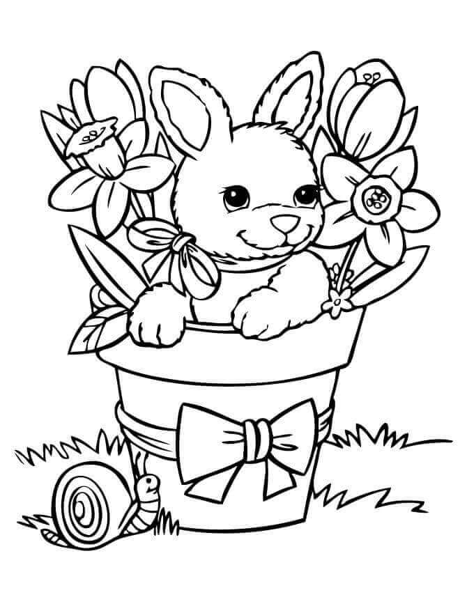 dibujos conejo en maceta en primavera para colorear