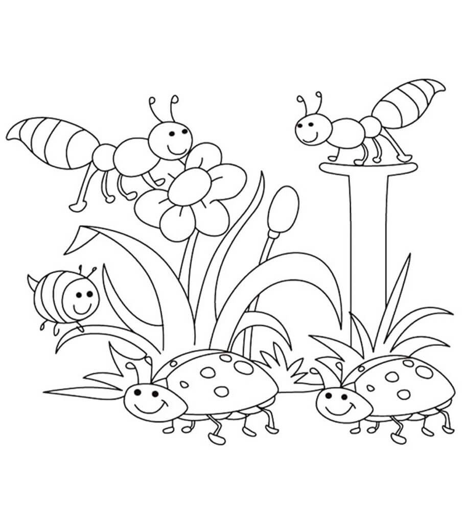 dibujos insectos en primavera para colorear