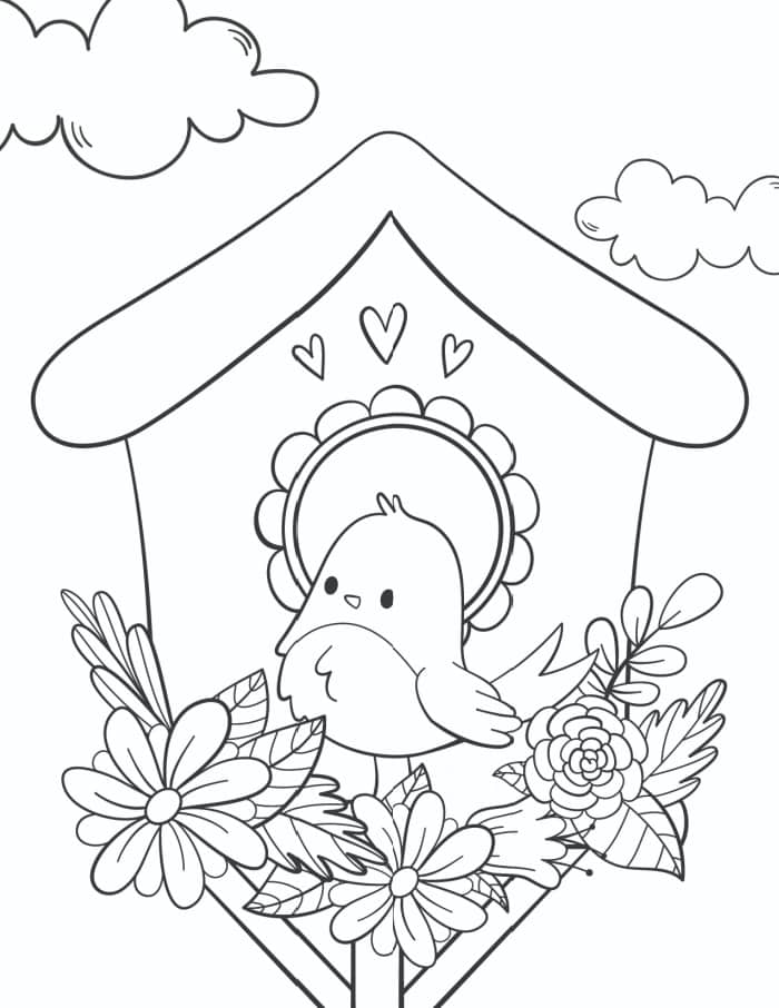 dibujos pajaro en primavera para colorear