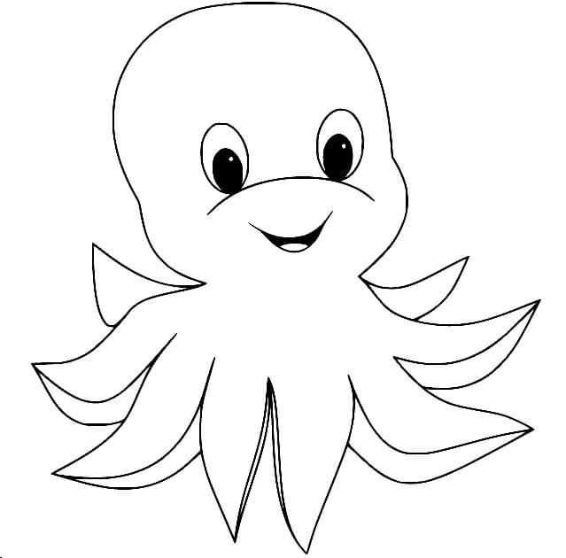 dibujo pequeno pulpo esponjoso colorear