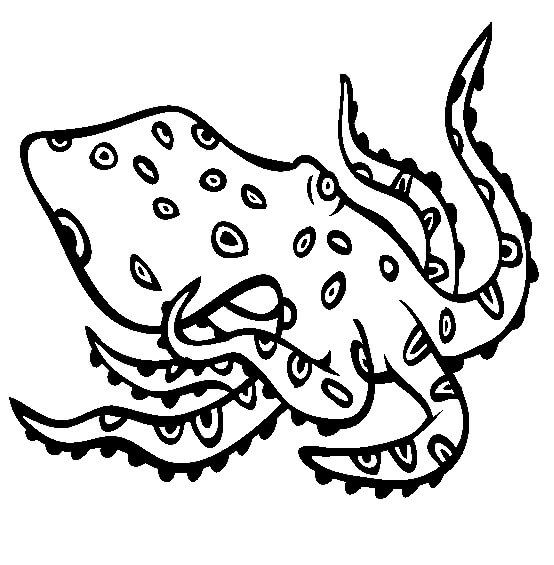 dibujo pulpo de anillos azules colorear
