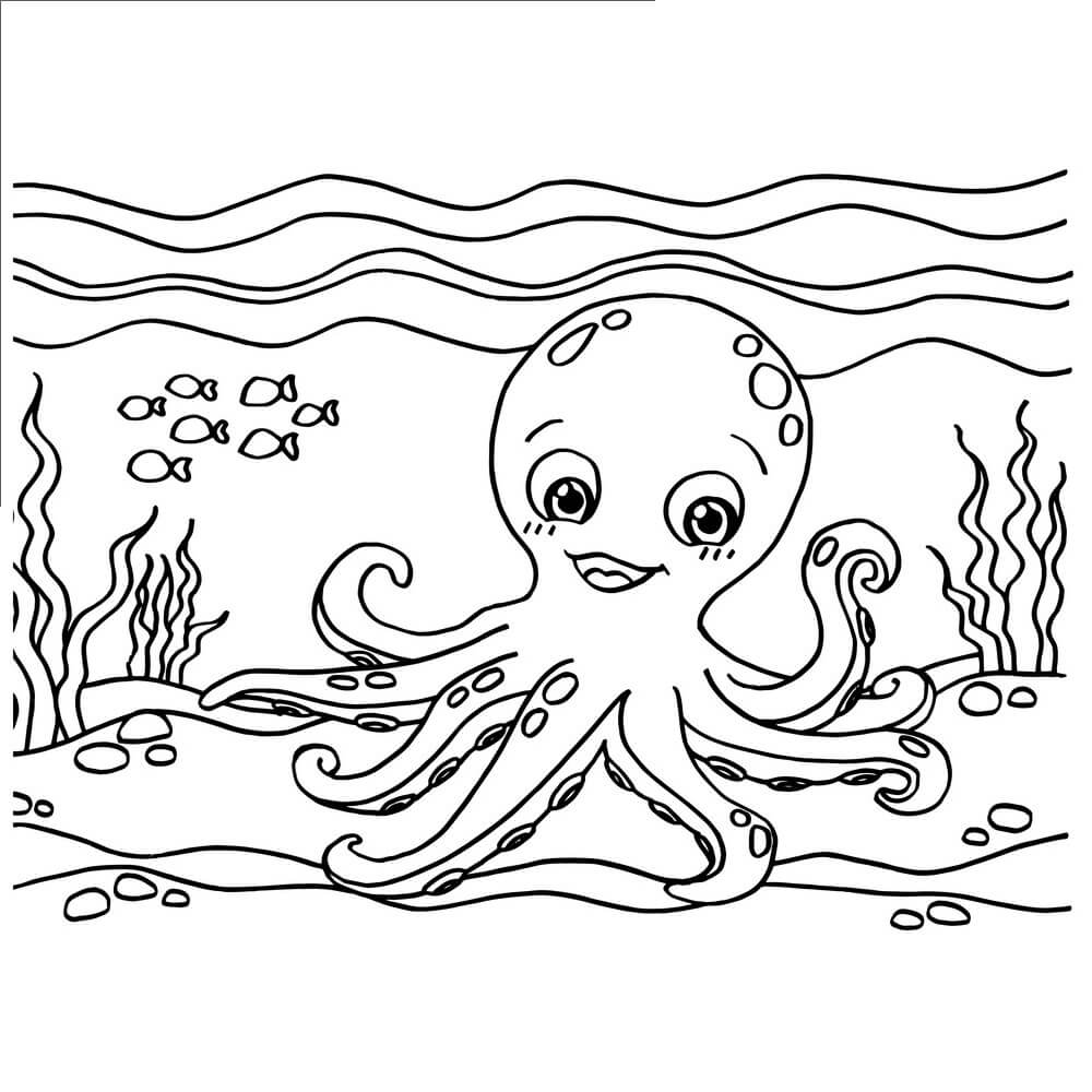 dibujo pulpo esponjoso divertido colorear