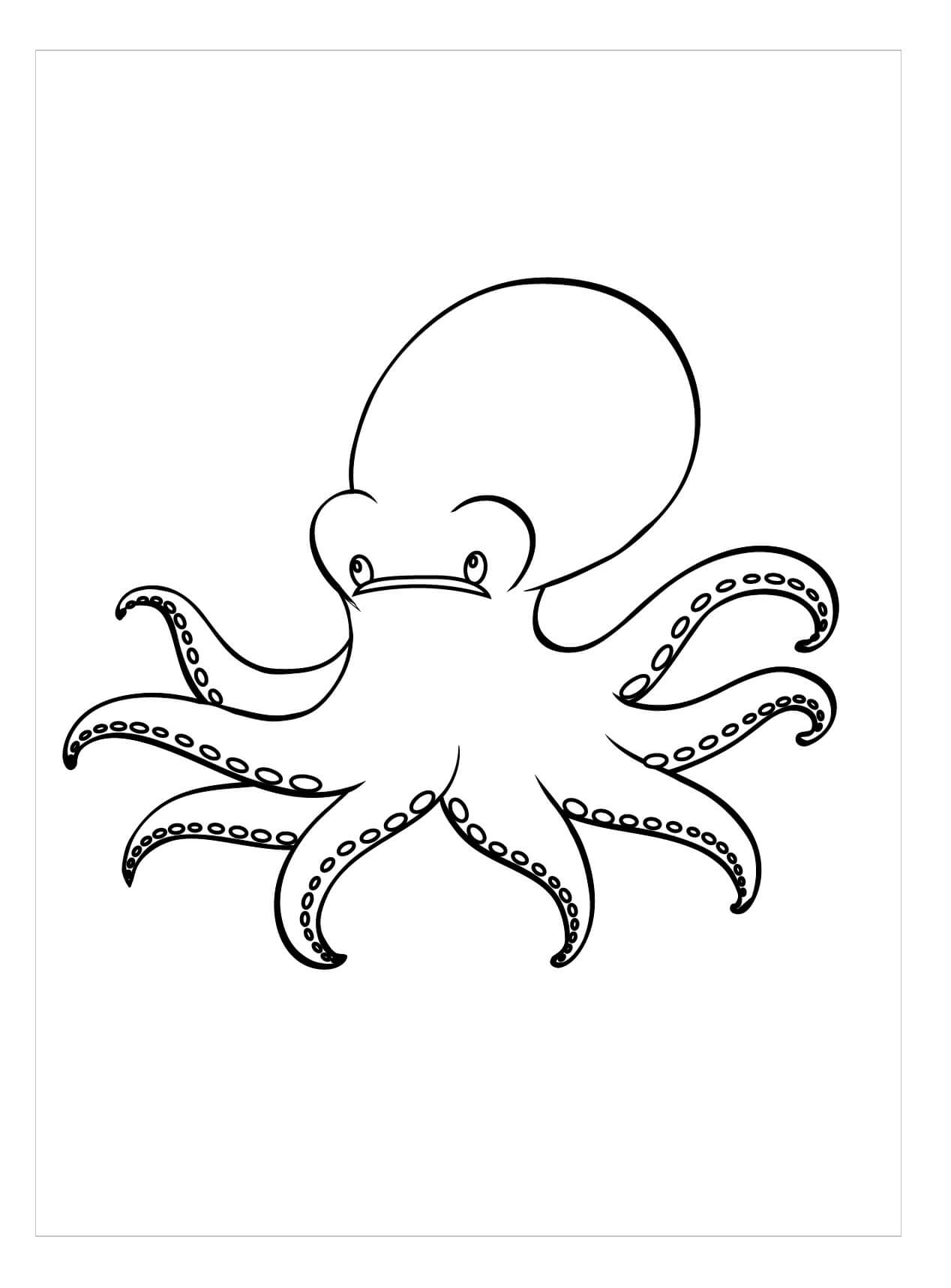 dibujo pulpo gigante colorear