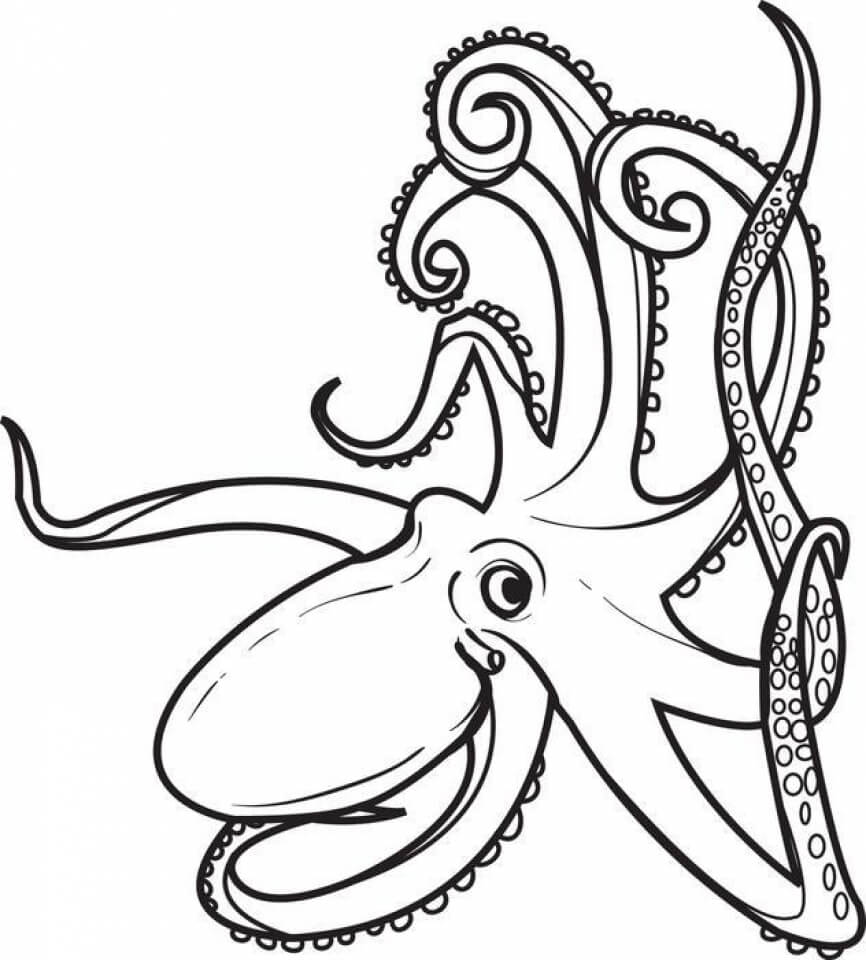 dibujo pulpo impresionante colorear
