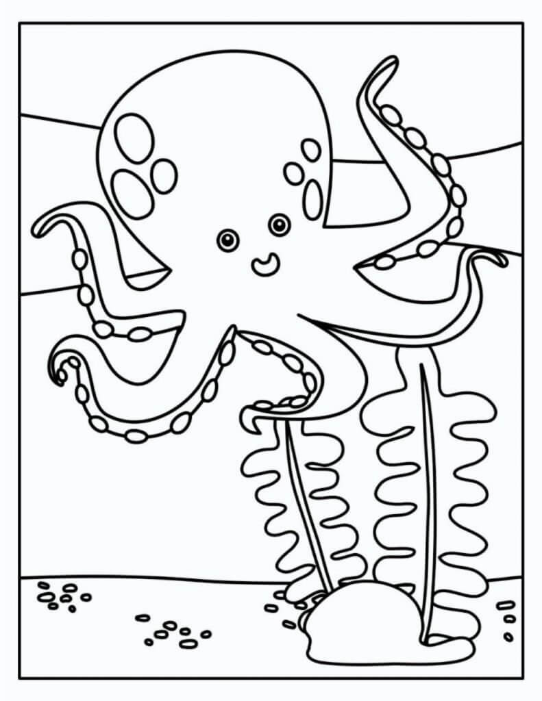 dibujo pulpo y coral colorear