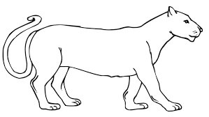 Puma para Colorear