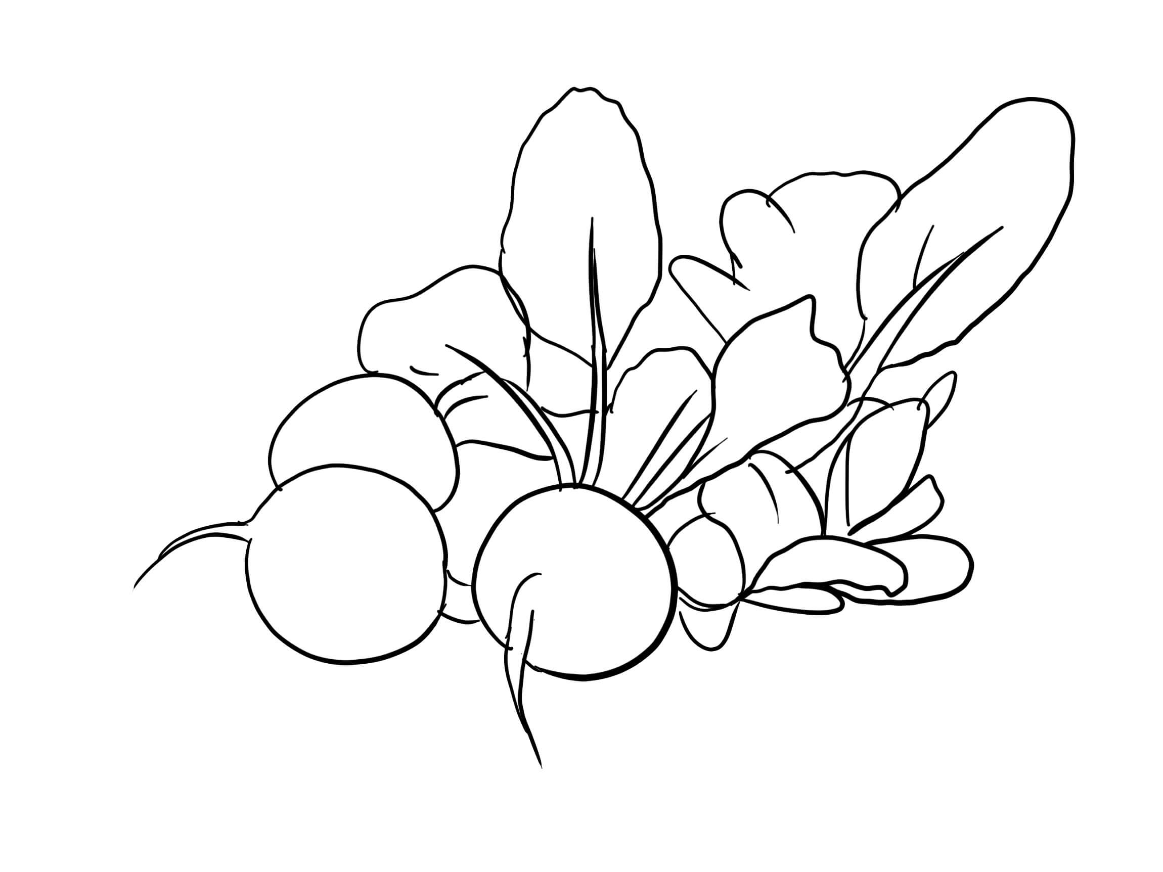dibujo adorable rabano para colorear