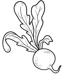 dibujo de rabano para colorear