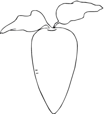 dibujo rabano blanco para colorear