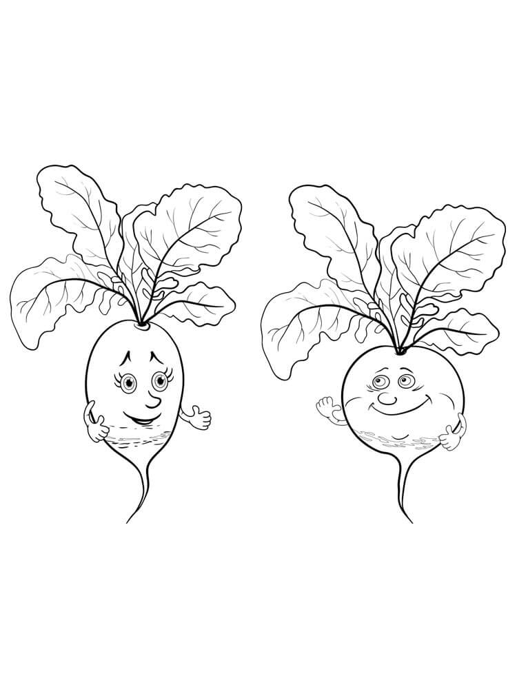 dibujo rabano de dos dibujos animados para colorear