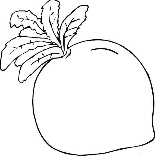 dibujo rabano dulce para colorear