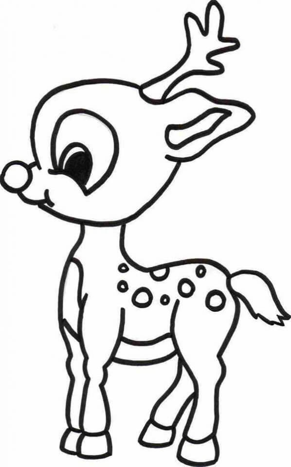 Reno para Colorear