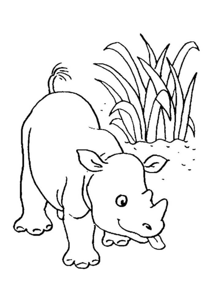 dibujo adorable rinoceronte para colorear