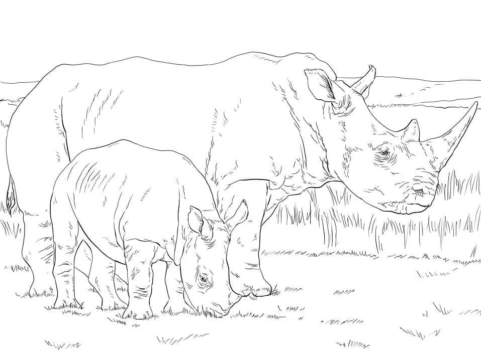 dibujo madre y bebe de rinoceronte blanco para colorear