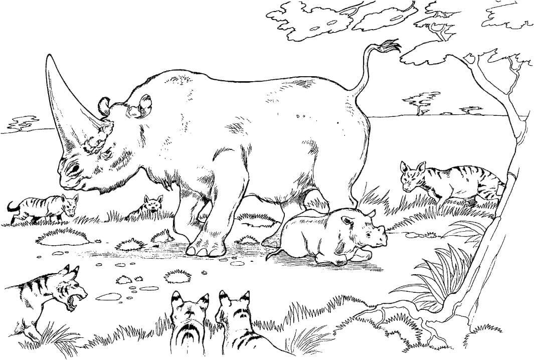 dibujo madre y bebe rinoceronte para colorear