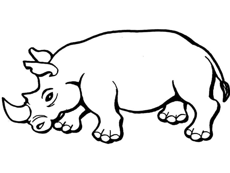 dibujo rinoceronte africano para colorear
