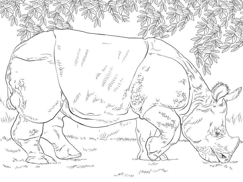 dibujo rinoceronte negro corriendo para colorear