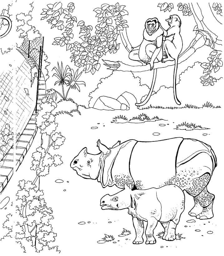 dibujo rinocerontes de sumatra en el zoologico para colorear