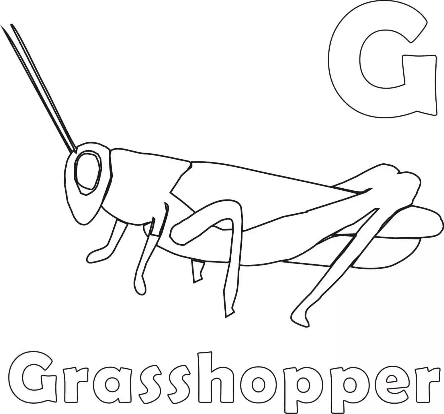 dibujo gran saltamontes para colorear